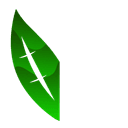 Single Leaf